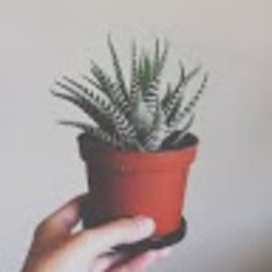 Meet your Posher, Skye